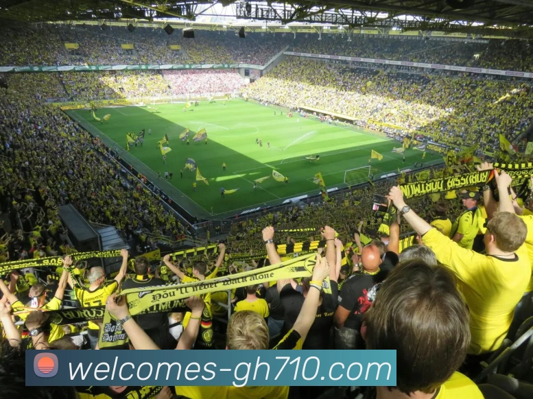 公海710官网APP 封面图